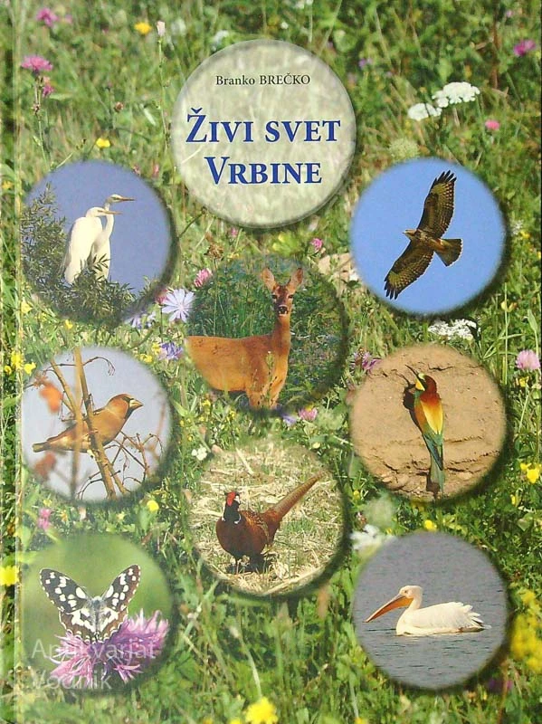 ŽIVI SVET VRBINE, Branko Brečko