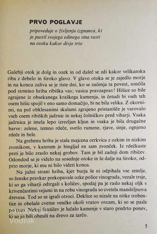 BRATOVŠČINA SINJEGA GALEBA, Tone Seliškar