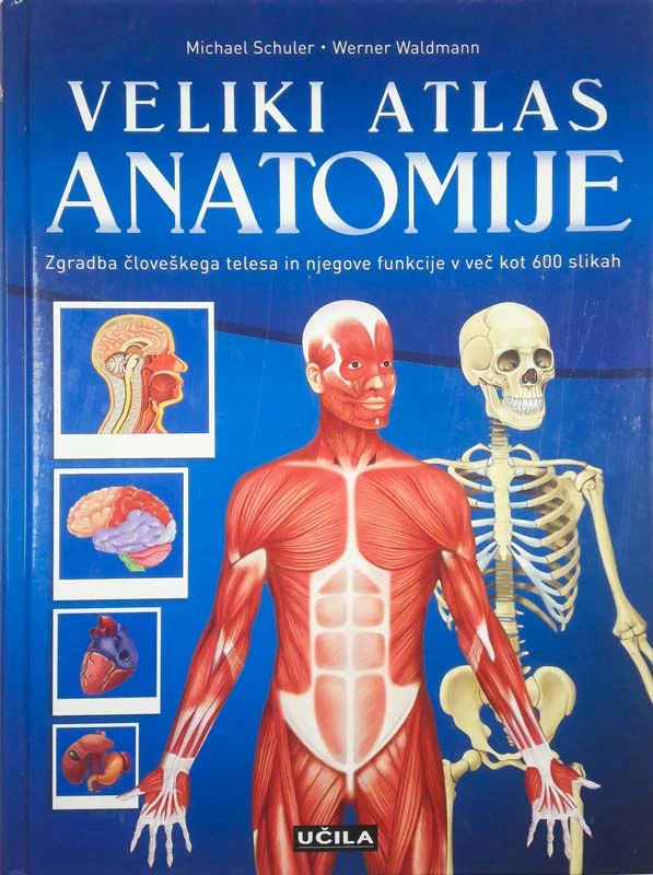 VELIK ATLAS ANATOMIJE, M. Schuler & W. Waldmann