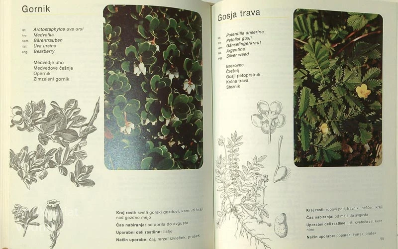 ZELIŠČA, ČAJI IN KOZMETIKA, Janez Vidmajer