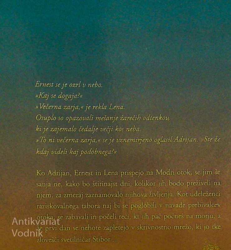 MODRI OTOK, Irena Androjna