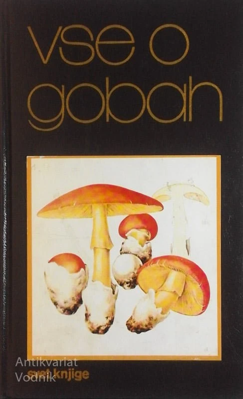 VSE O GOBAH, Giuseppe Pace