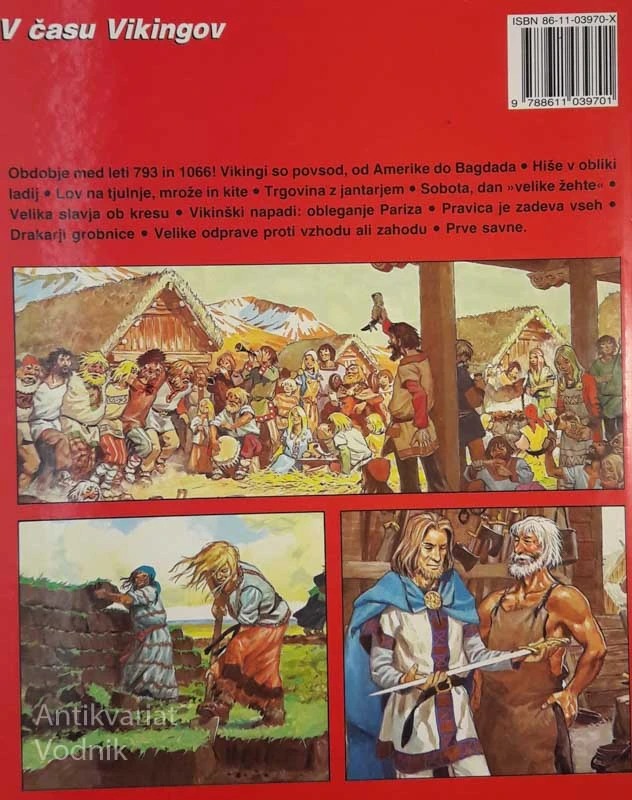 V ČASU VIKINGOV