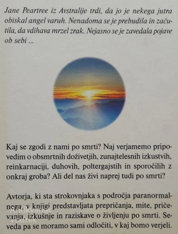 VSAKDANJI NESPORAZUMI, Wendy Grant