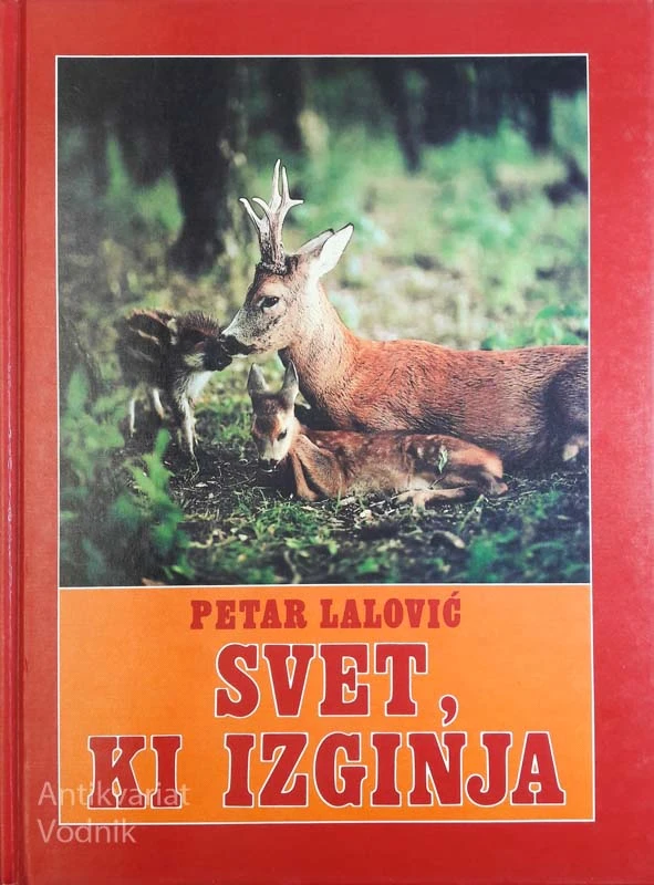 SVET, KI IZGINJA, Petar Lalović