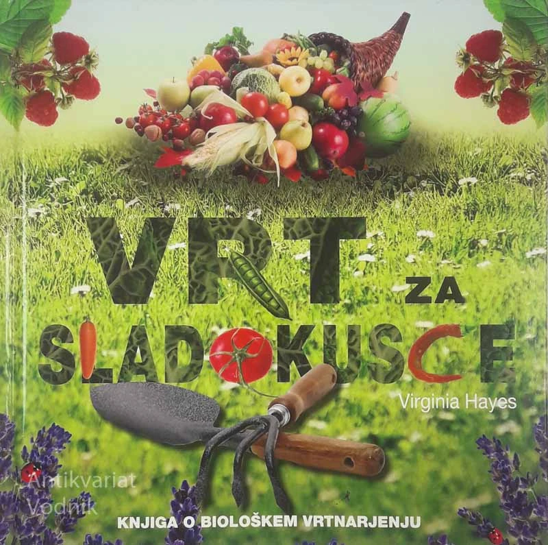 VRT ZA SLADOKUSCE, Virginia Hayes
