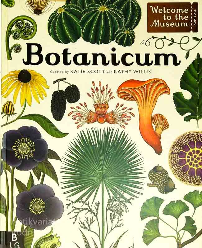 BOTANICUM, Kathy Willis