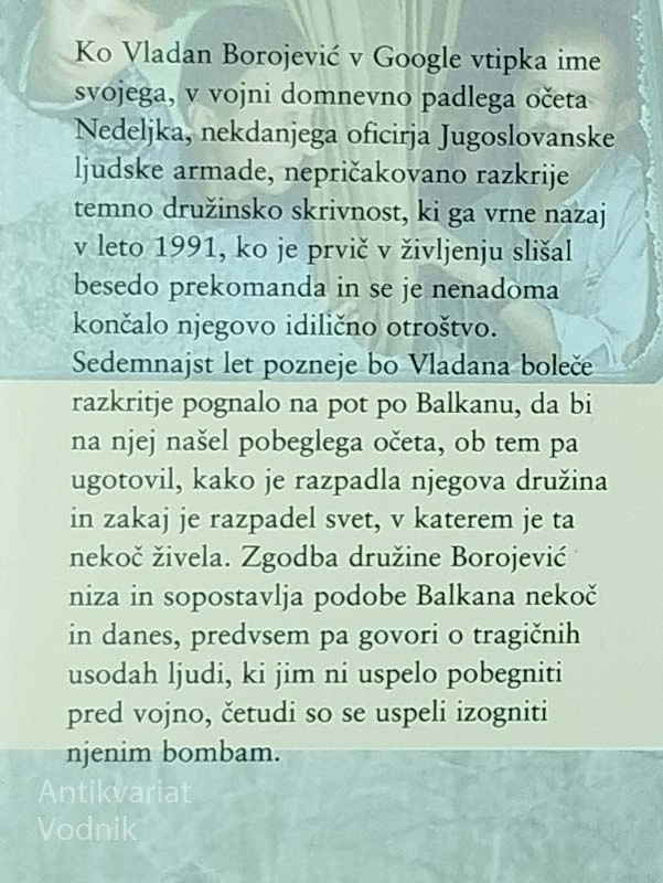 JUGOSLAVIJA, MOJA DEŽELA, Goran Vojnović