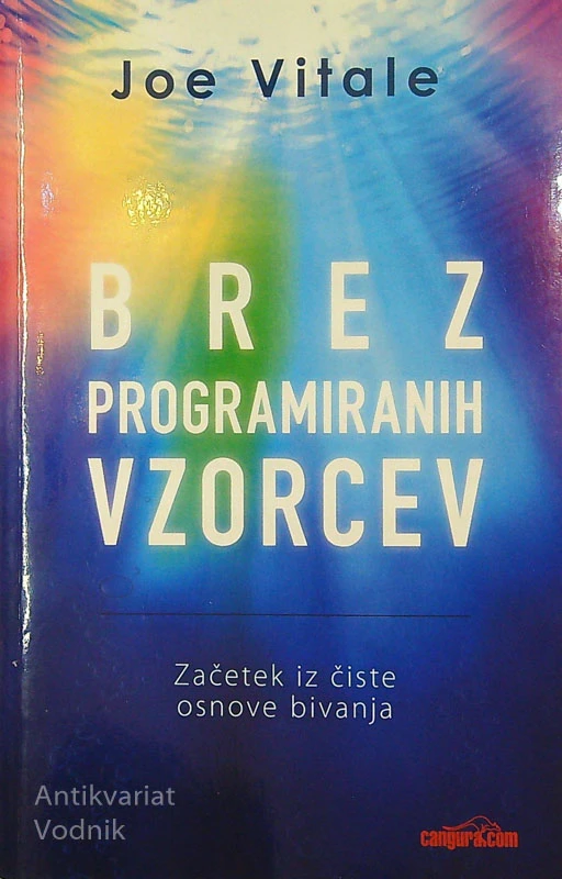 BREZ PROGRAMIRANIH VZORCEV, Joe Vitale