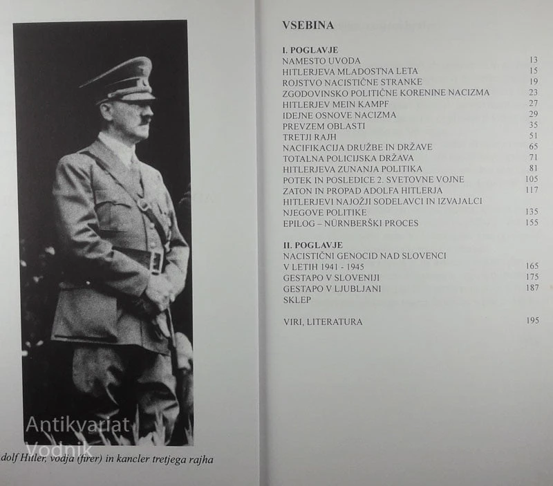 NACIZEM; ADOLF HITLER IN TRETJI RAJH, Zvonko Cajnko