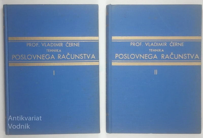 TEHNIKA POSLOVNEGA RAČUNSTVA, prof. Vladimir Černe