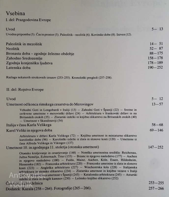 UMETNOST V SLIKAH: NASTAJANJE EVROPE
