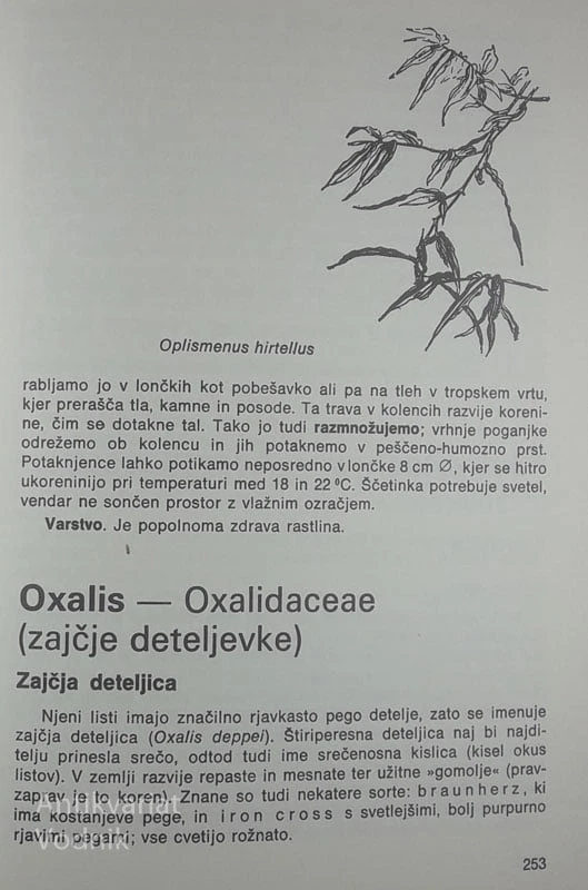 VZGOJA LONČNIC, France Vardjan