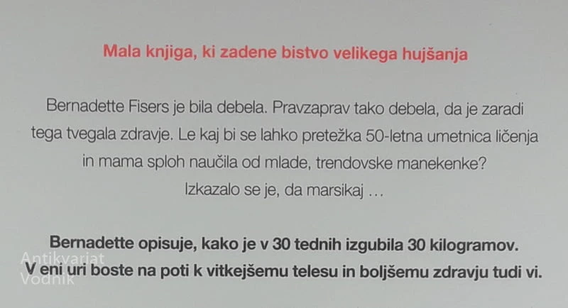 MALA KNJIGA VELIKEGA HUJŠANJA, Bernadette Fisers