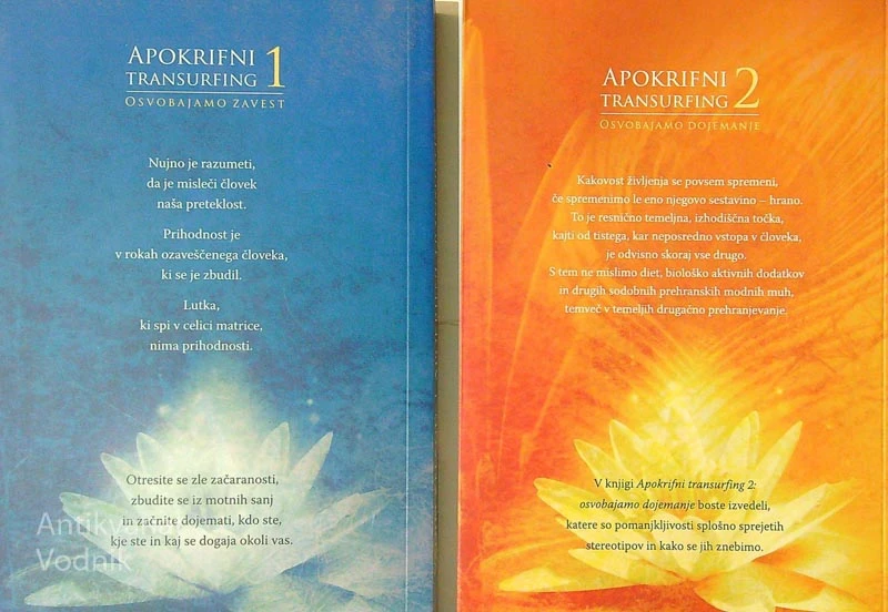 APOKRIFNI TRANSURFING 1. – 2. knjiga, Vadim Zealand