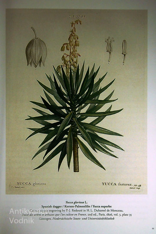 THE BOOK OF FLOWERS, Pierre-Joseph Redouté