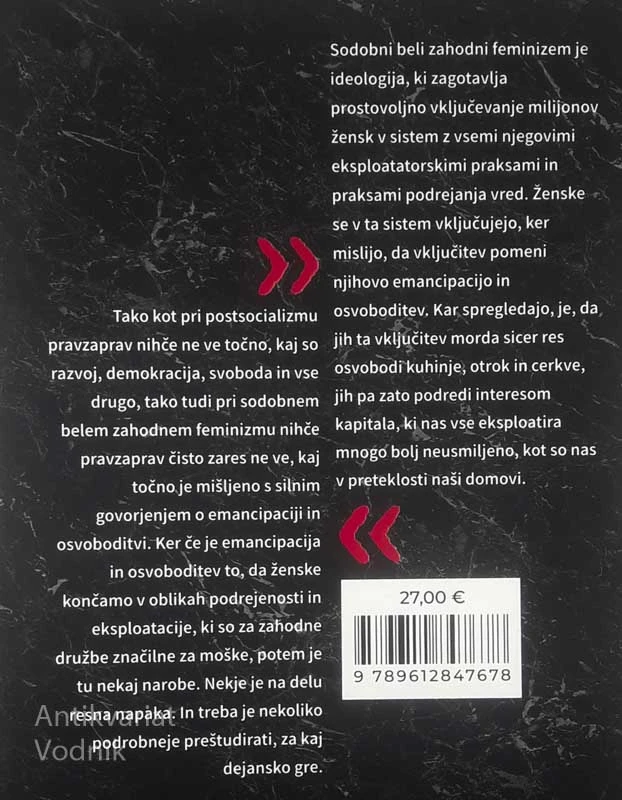 ZABLODE FEMINIZMA, Vesna V. Godina