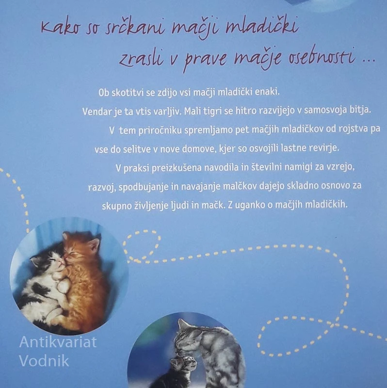 MAČJI MLADIČKI ODKRIVAJO SVET, Monika Wegler