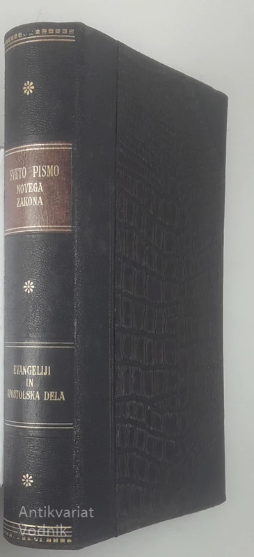 SVETO PISMO NOVEGA ZAKONA; EVANGELIJI IN APOSTOLSKA DELA