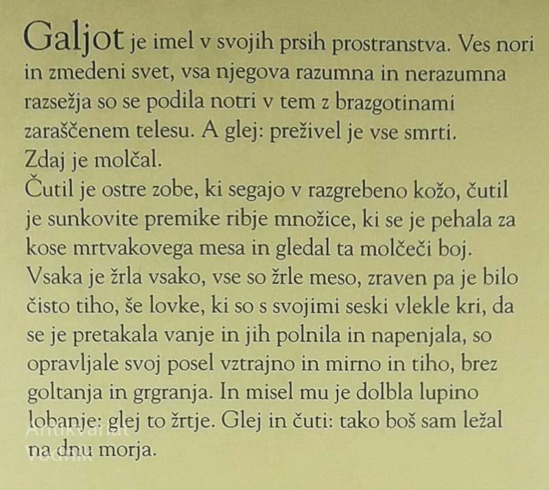 GALJOT, Drago Jančar