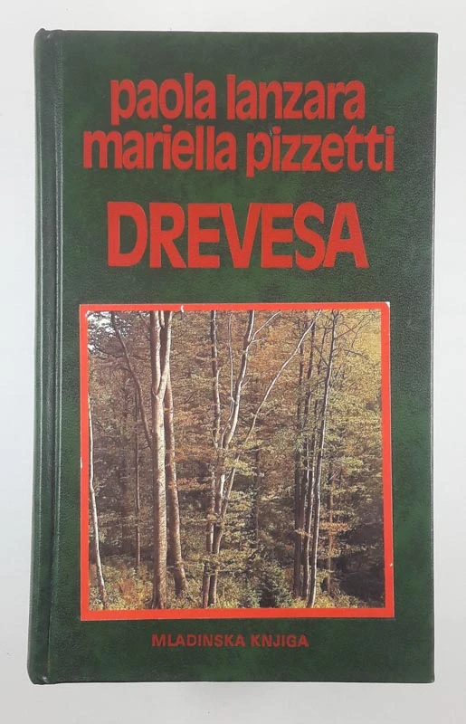 DREVESA, Paola Lanzara