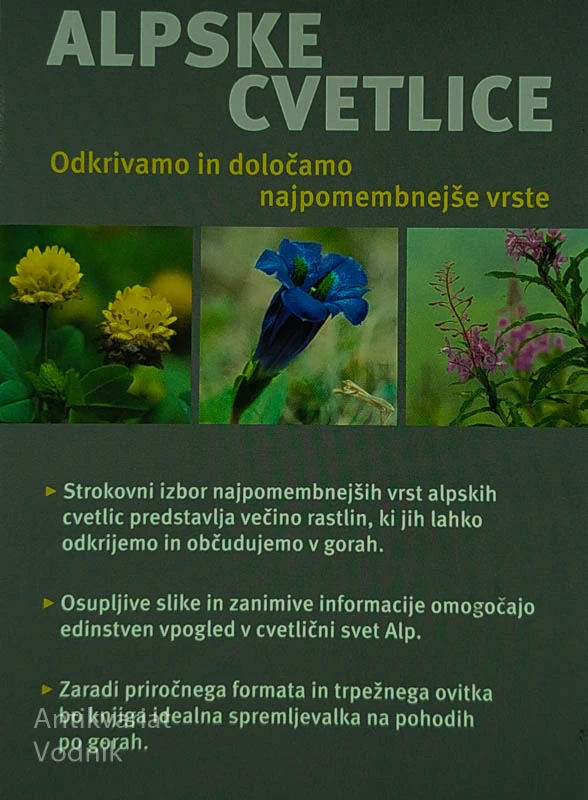 ALPSKE CVETLICE, Helga Hoffman