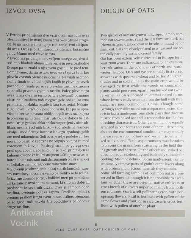 OVES / OATS, Blanka Vombergar, Ivan Kreft, Marija Horvar in Stanko Vorih