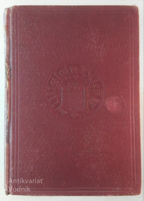STURMZEICHEN, Roman von Richard Slowronnet