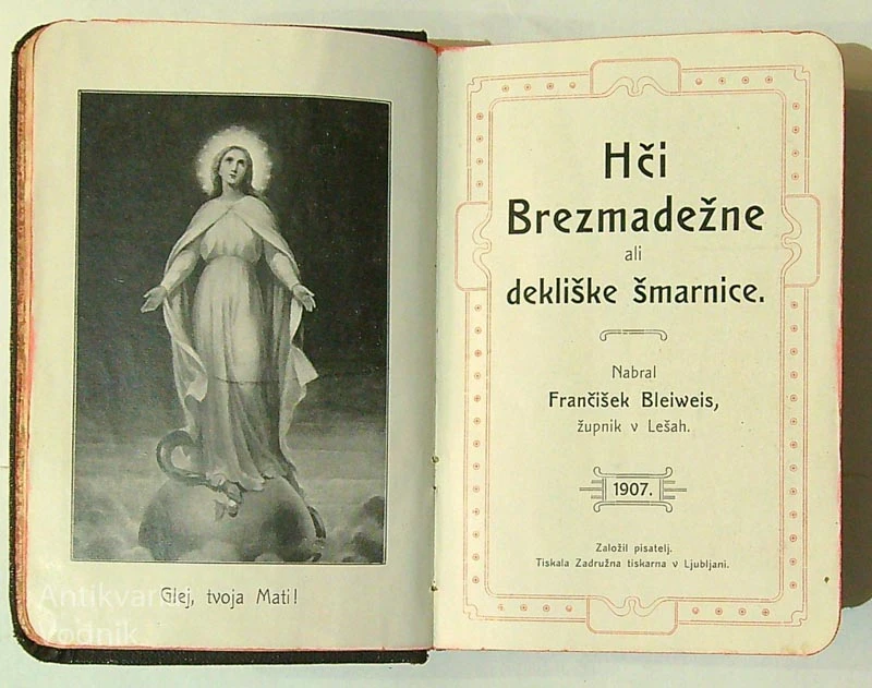 HČI BREZMADEŽNE ALI DEKLIŠKE ŠMARNICE
