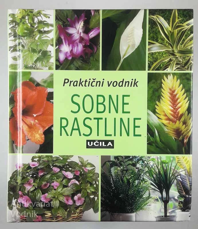 SOBNE RASTLINE; PRAKTIČNI VODNIK, več avtorjev