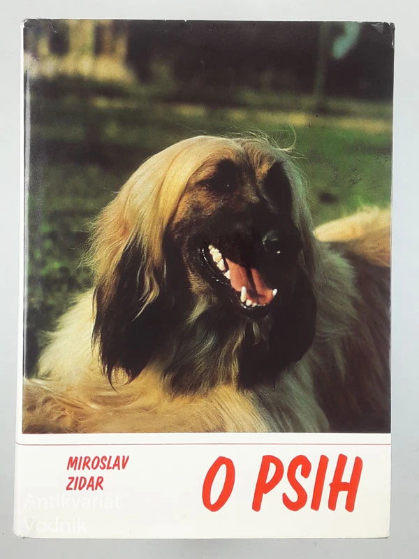 O PSIH, Miroslav Zidar
