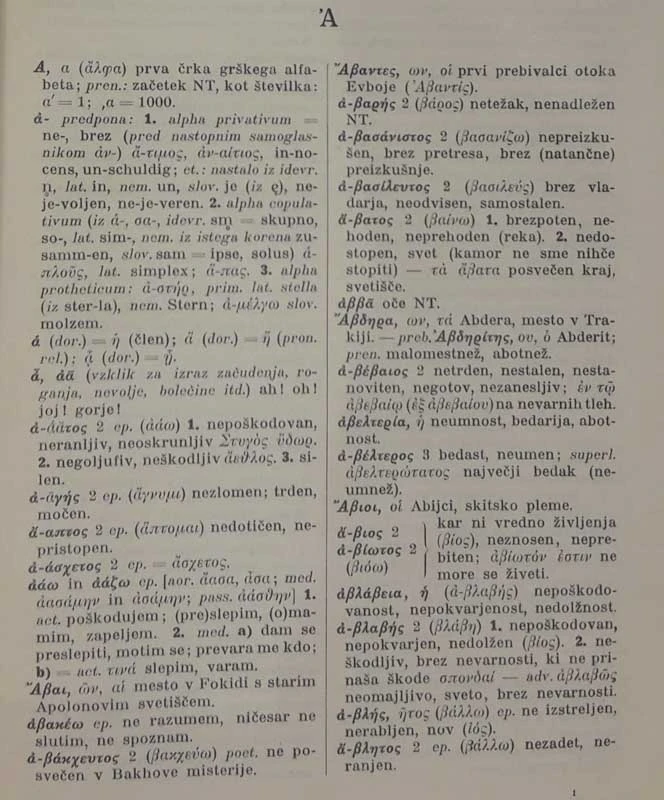 GRŠKO-SLOVENSKI SLOVAR, Anton Dokler