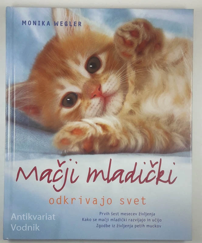 MAČJI MLADIČKI ODKRIVAJO SVET, Monika Wegler