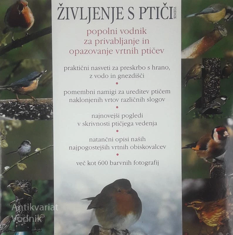 ŽIVLJENJE S PTIČI, Robert Burton