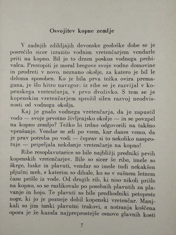 DVOŽIVKE IN PLAZILCI, Miroslav Zei