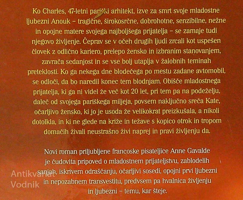 TOLAŽBA, Anna Gavalda