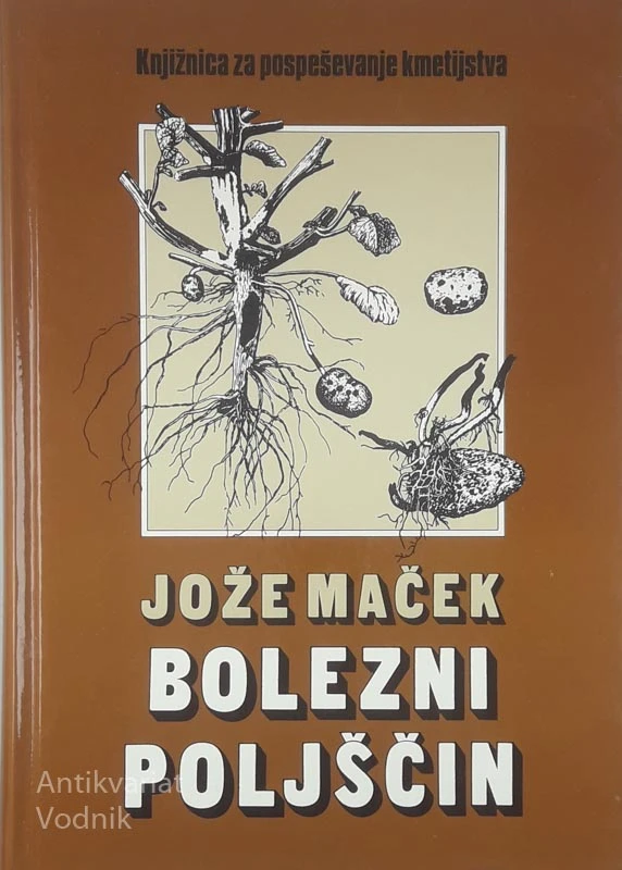 BOLEZNI POLŠČIN, Jože Maček