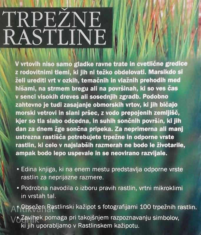 TRPEŽNE RASTLINE Neuničljivo zelenje za vskršne razmere, Sharon Amos