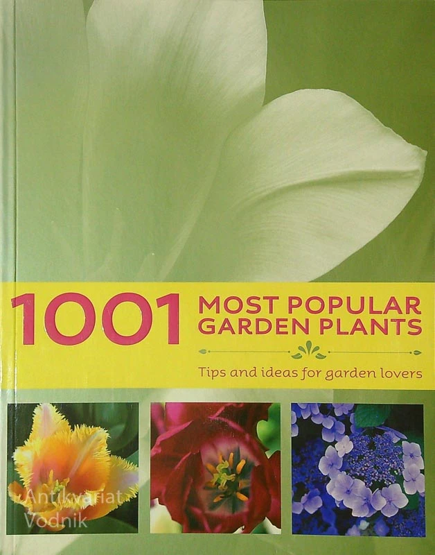 1001 MOST POPULAR GARDEN PLANTS, Antje Rugullis