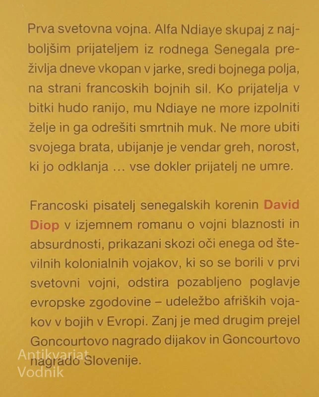 VEČ KOT BRAT, David Diop