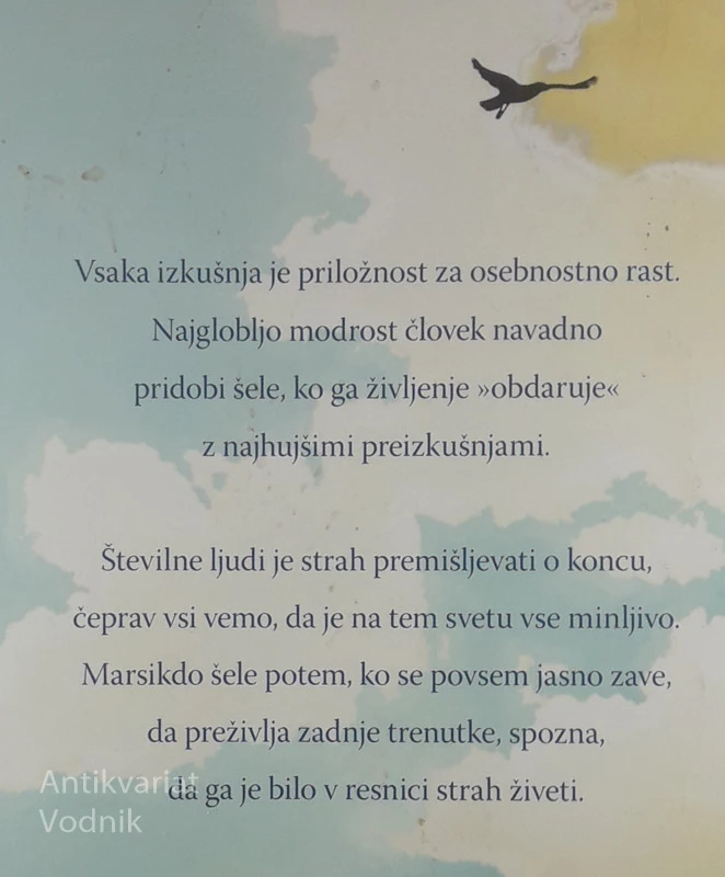 5 NAJPOGOSTEJŠIH OBŽALOVANJ PRED SMRTJO, Bronnie Ware