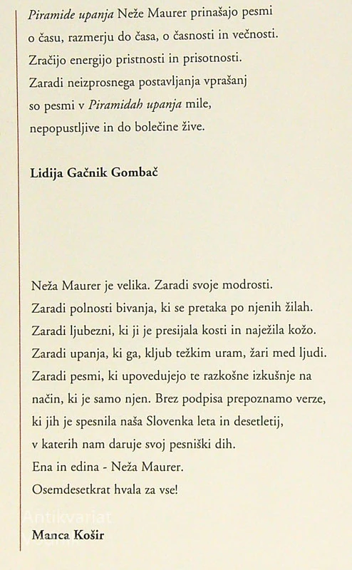 PIRAMIDE UPANJA, Neža Mauer in Gregor Radonjič