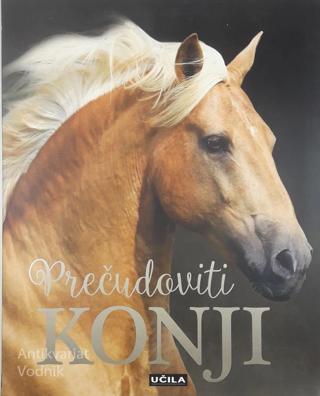 PREČUDOVITI KONJI