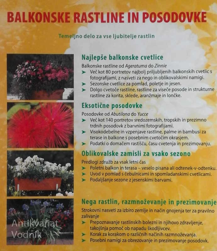 BALKONSKE RASTLINE IN POSODOVKE, Halina Heitz