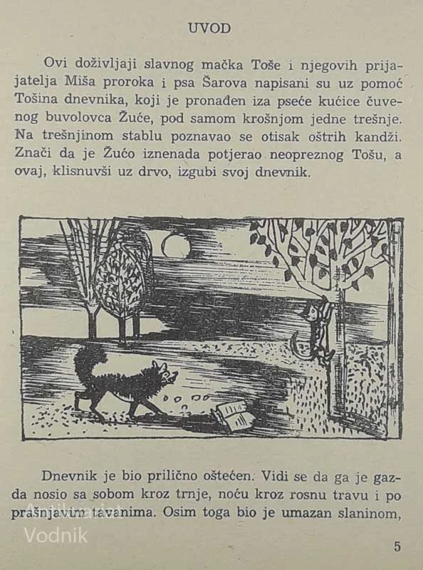 DOŽIVLJAJI MAČKA TOŠE, Branko Ćopić