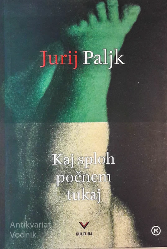 KAJ SPLOH POČNEM TUKAJ, Jurij Paljk