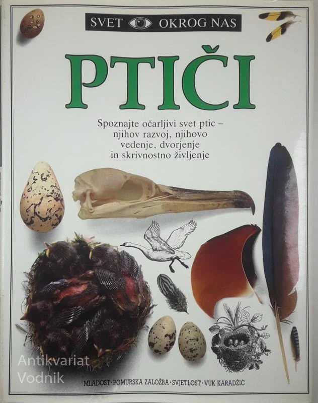 PTIČI, David Burnie