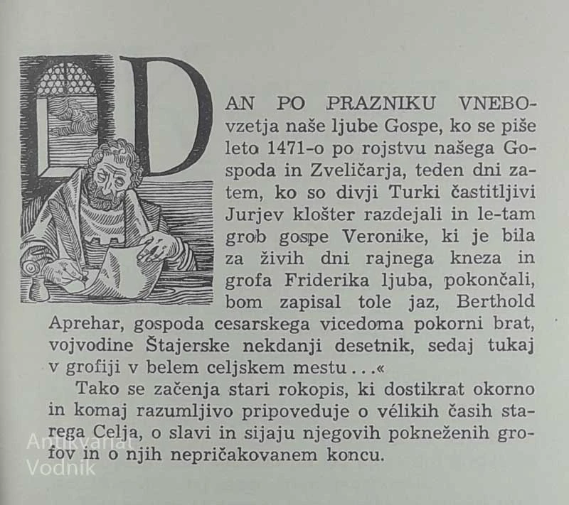 DANES GROFJE CELJSKI IN NIKDAR VEČ, Ana Wambrechtsamer