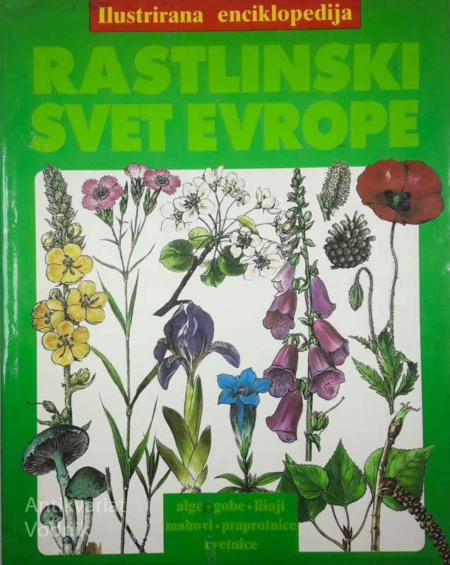 RASTLINSKI SVET EVROPE, več avtorjev