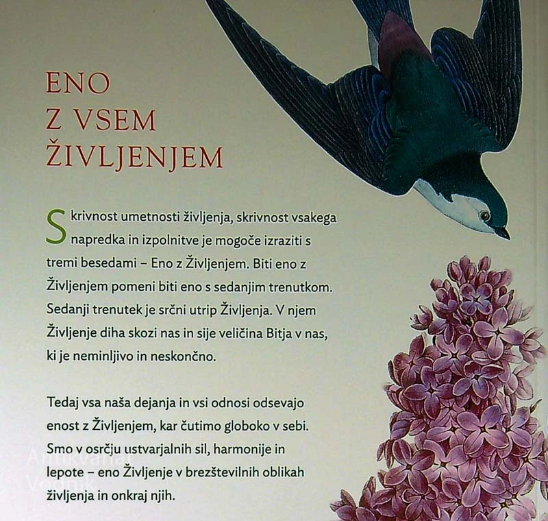 ENO Z VSEM ŽIVLJENJEM, Eckhart Tolle